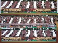 13-08-04-bfc-stutt-046