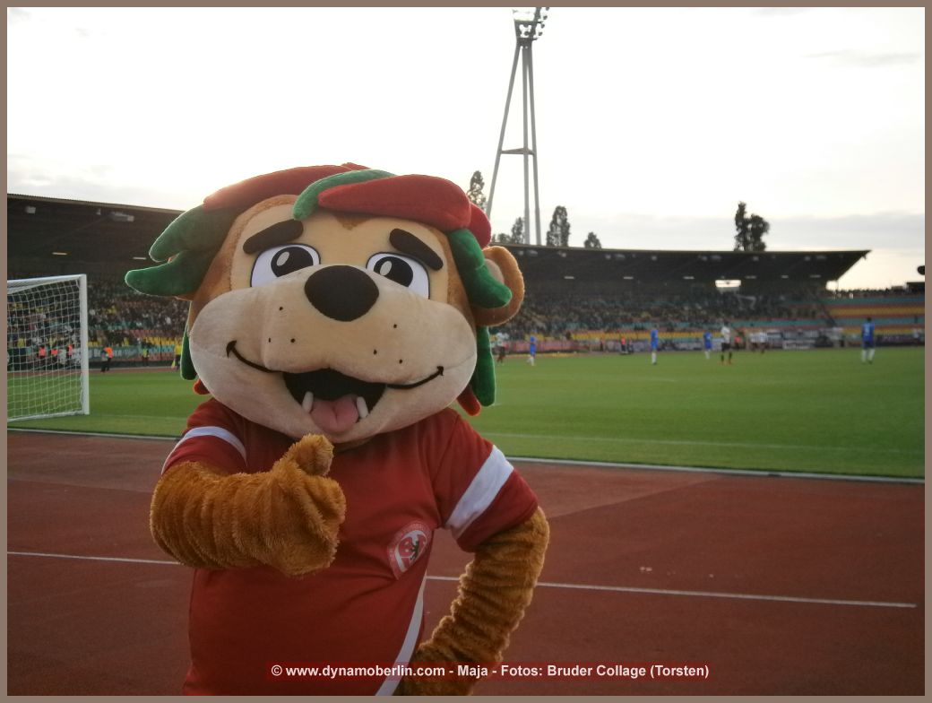 15-05-20-BFC-Tas-047