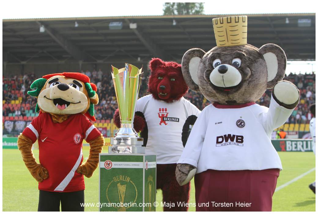 17-05-25-vik-bfc-025