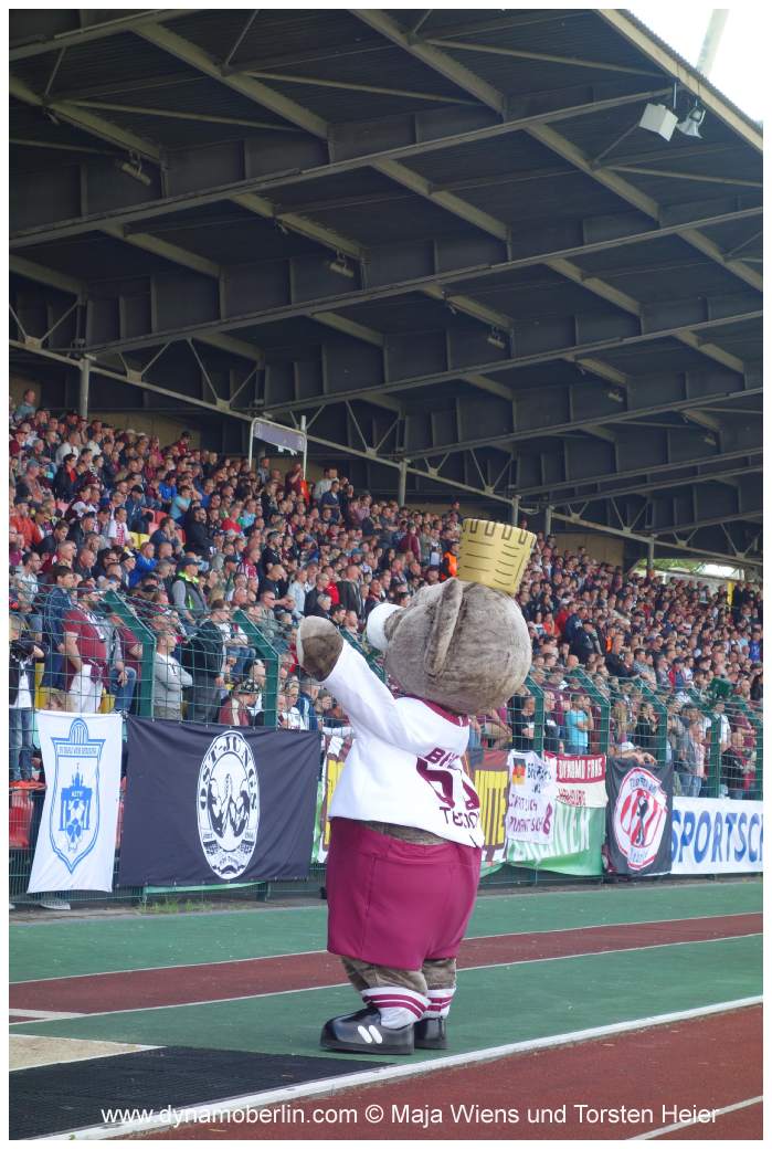 17-05-25-vik-bfc-060