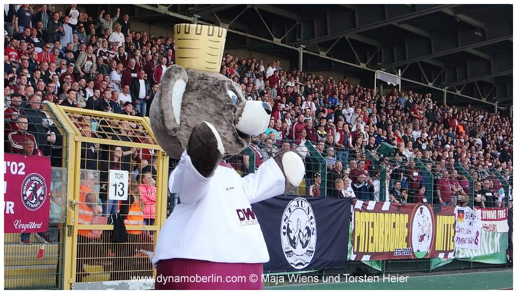 17-05-25-vik-bfc-061