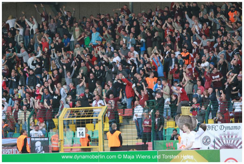 17-05-25-vik-bfc-131