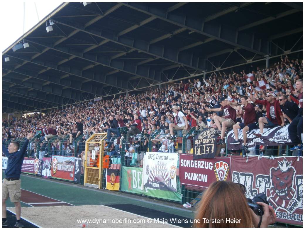 17-05-25-vik-bfc-219